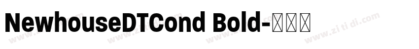 NewhouseDTCond Bold字体转换